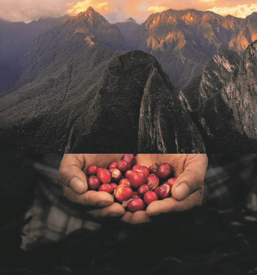 1825/VISUELS CONTENU/Partenaires/Screenshot_2.png